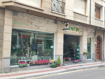 Kentya Floristas, Floristería en Villarcayo