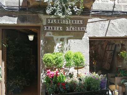 Floristeria Maria Teresa, Floristería en Ezcaray