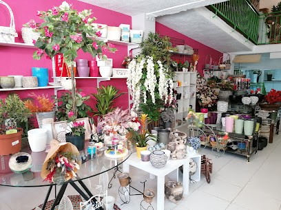 Ohfloremio, Floristería en San Esteban de Gormaz