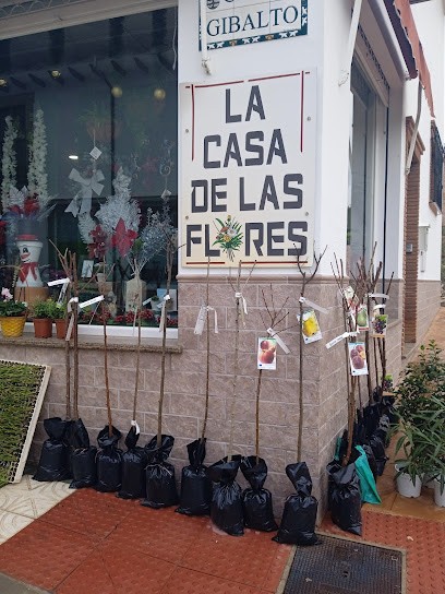 La Casa De Las Flores, plaza del Prado, 31, Villanueva del trabuco, Floristería en Villanueva del Trabuco