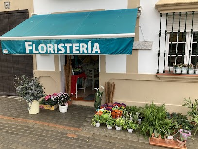 La Floristería De Burguillos, Floristería en Burguillos