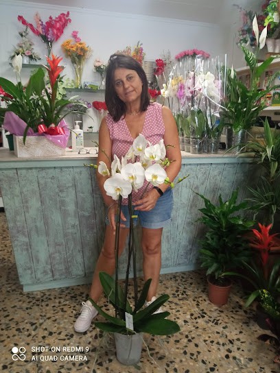 Floristería Sáez, Floristería en Canovelles