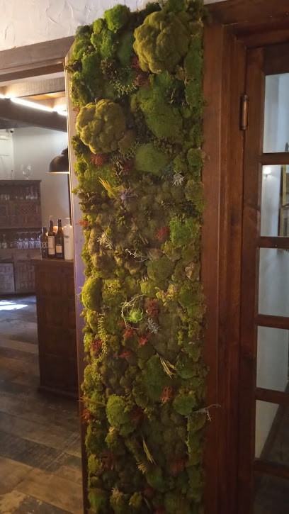 Floristería Elisa, Floristería en Sax