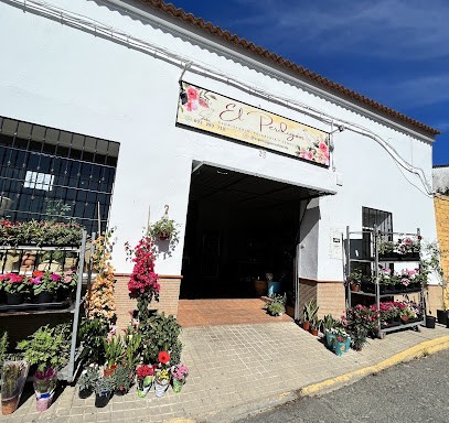 El Perdigón, Floristería en Valverde del Camino