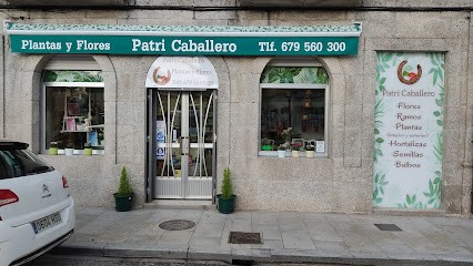 PATRI CABALLERO Plantas Y Flores, Floristería en Tui