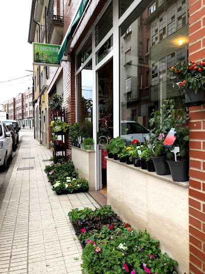 Floristería Florabella, Floristería en Grado