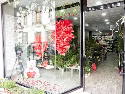 Maia Reina Arte Floral, Floristería en Estepa