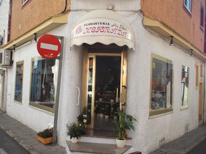 Floristeria Mejorada, Floristería en Mejorada del Campo
