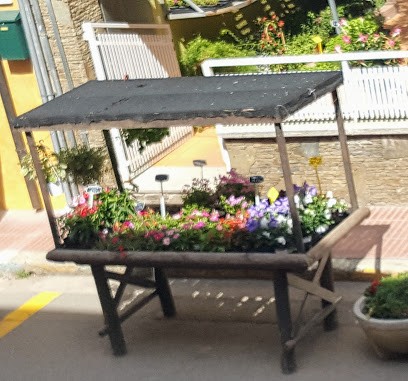 Flors Montse SL, Floristería en Sant Antoni de Calonge