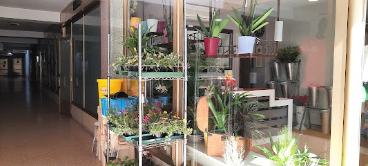 Flores Otilia Chantada, Floristería en Chantada