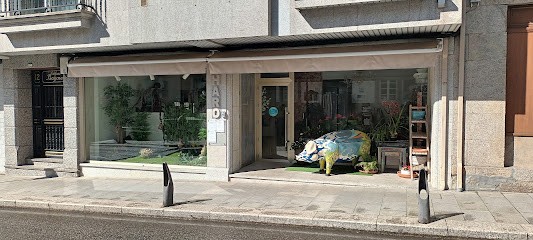 Floraría Charo, Floristería en Lalín