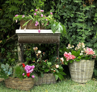 D-tallo, Floristería en Gelves