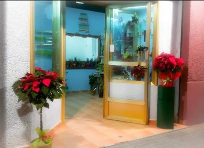 Floristeria Pétalos, Floristería en Ibi