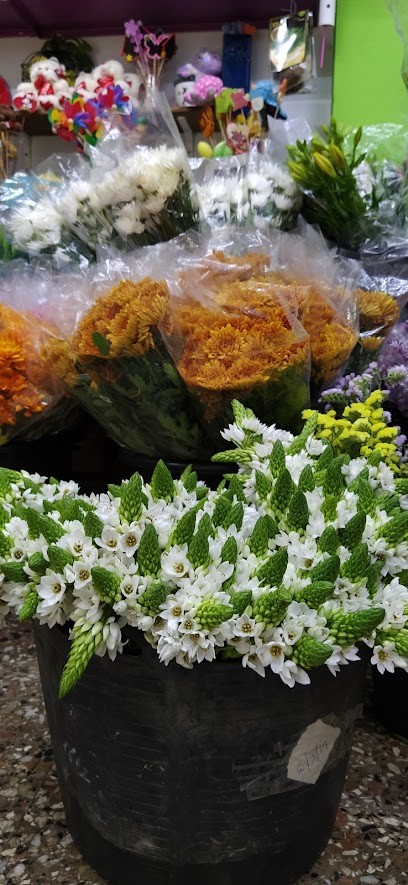 Floristería Tona, Floristería en Guía