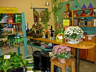 Floristeria Cal Ros, Floristería en Solsona