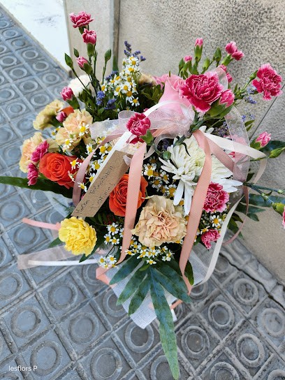 Floristeria Les Flors, Floristería en Ponts