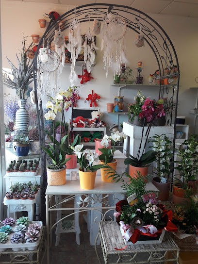 Flors, Floristería en L'Olleria