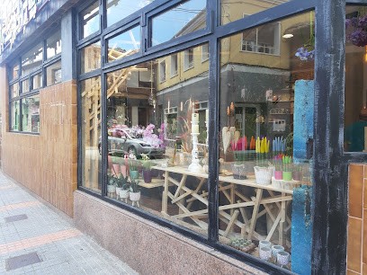 El Jardín de Bea, Floristería en Valencia de Don Juan