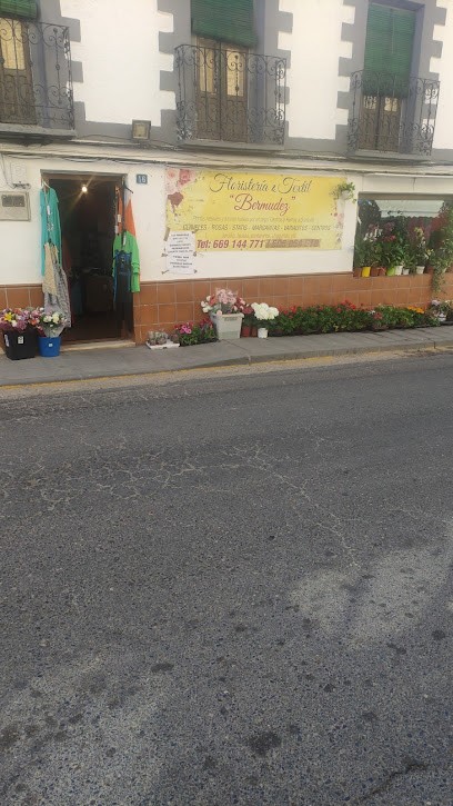 Floristería y Textiles Bermúdez, Floristería en Polán