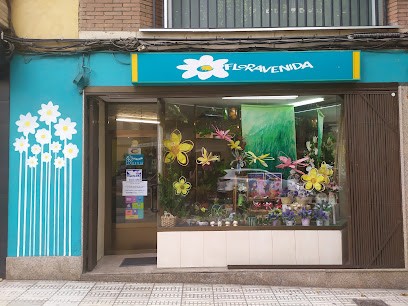 Floristería Floravenida, Floristería en Puertollano