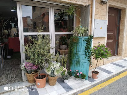 Floristeria Y Merceria Del Bas, Floristería en Olula del Río