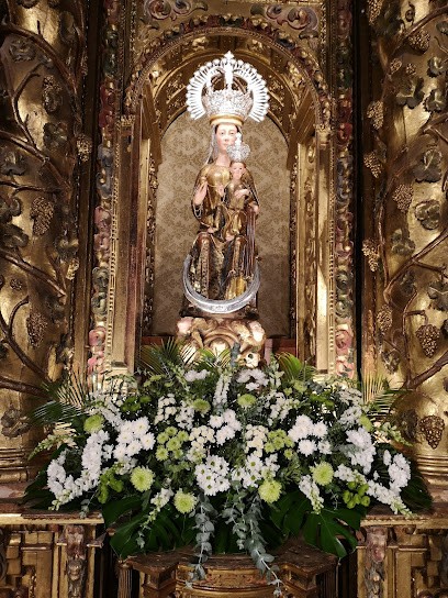 Flores Goyi, Floristería en Aldea de San Miguel
