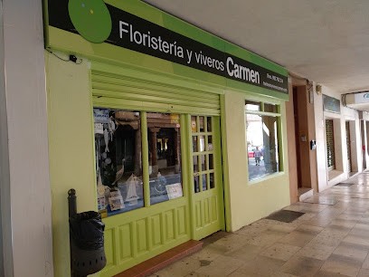 Floristería y Viveros Carmen, Floristería en Medina de Rioseco