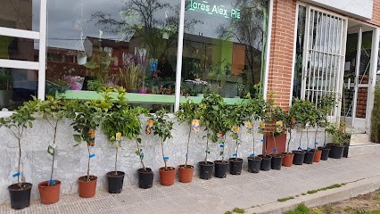 Floristería Alex Seseña Y El Quiñon, Floristería en Seseña