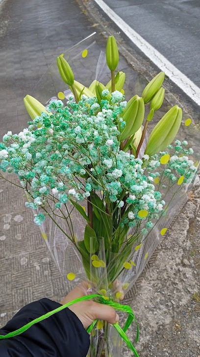 Floristería Luz Souto, Floristería en Valdoviño