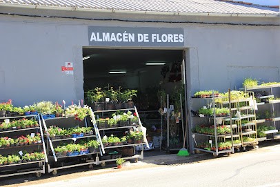 Floristería Pétalos, Floristería en Béjar