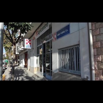 FLORS I PRODUCTES PER HORT PLANTELL GALLINES ADOBS ABONO MENJAR PER ANIMALS EINES ESTRIS, Floristería en Tàrrega