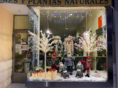 FLORISTERIA JULI, Floristería en Tarancón