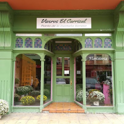 Floristería El Carrizal, Floristería en Cistierna