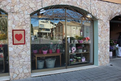 Vivaldi Flors, Floristería en Torroella de Montgrí