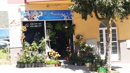 Floristeria El Almendro, Floristería en Valsequillo de Gran Canaria
