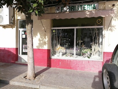 Floristería Ana, Floristería en Coria