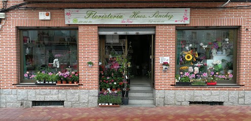 Floristeria Hnos Sànchez (Flores Nala), Floristería en Yuncler