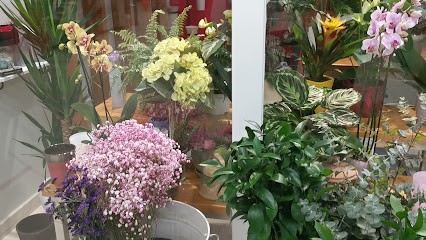 Floristería La Tienda De Josefina, Floristería en Betanzos