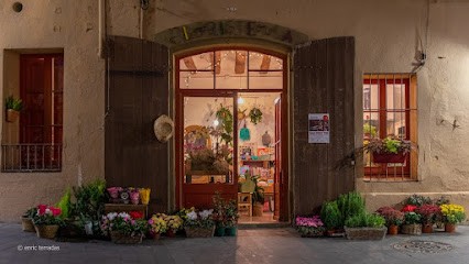 Floristeria Verd És Bo, Floristería en Tiana