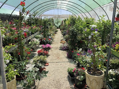 FLORISTERIA GARDEN LA ESTACIÓN (PUERTO LUMBRERAS), Floristería en Estación