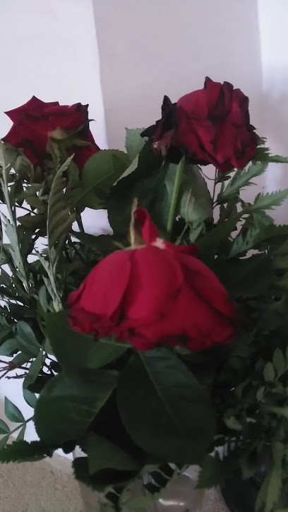 Floristería Ceraflor, Floristería en Pilas, Sevilla