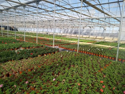 Viveros Sofía C B, Floristería en Villalobar