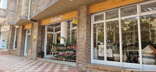 Ambient Plantes i Decoració, Floristería en Teià