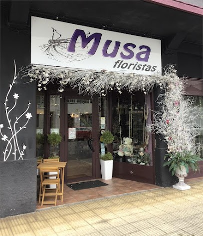 Musa Floristas, Floristería en Begonte