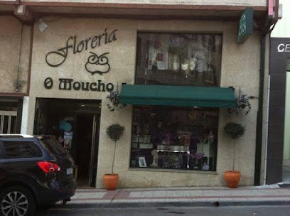 O Moucho, Floristería en Arteixo