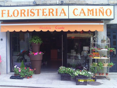 Floristería Camiño, Floristería en Chantada