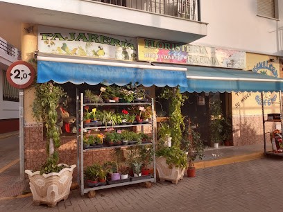 Floristería Fátima & artículos de regalo, Floristería en Punta Umbría