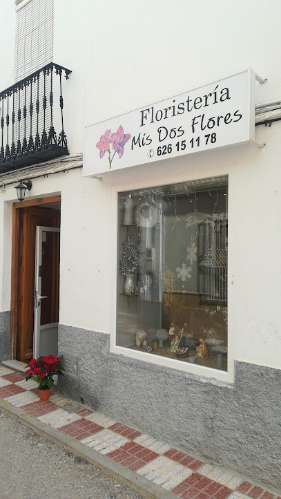 Floristería Mis Dos Flores, Floristería en Villardompardo