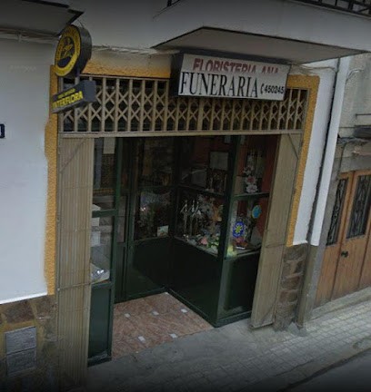 Floristeria Ana, Floristería en Villanueva del Arzobispo