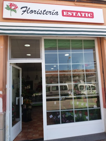 FLORISTERIA ESTATIC, Floristería en Villena